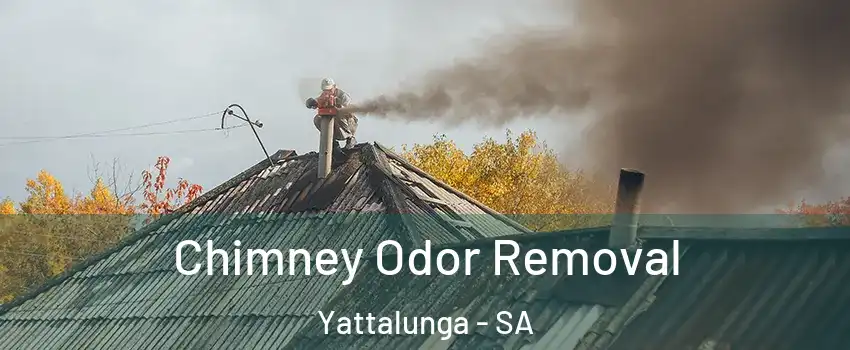  Chimney Odor Removal Yattalunga - SA