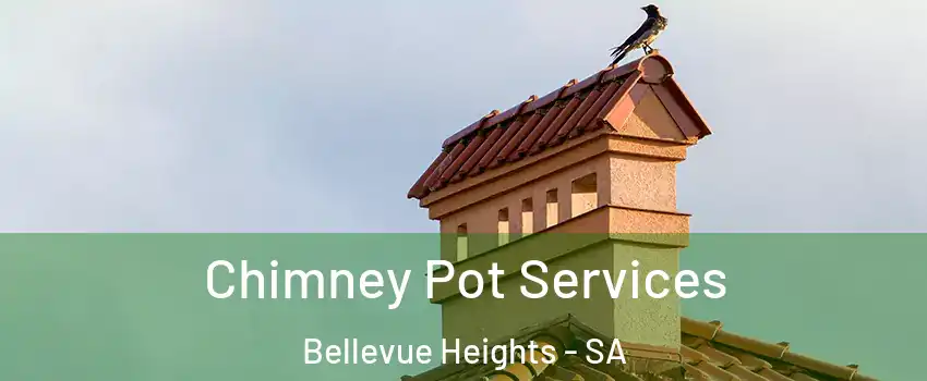 Chimney Pot Services Bellevue Heights - SA
