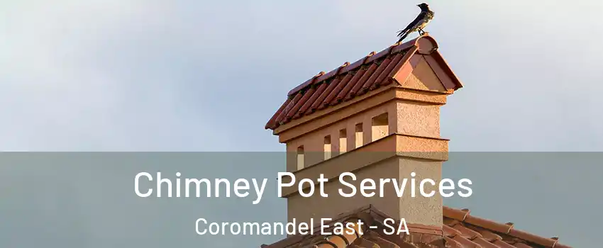 Chimney Pot Services Coromandel East - SA