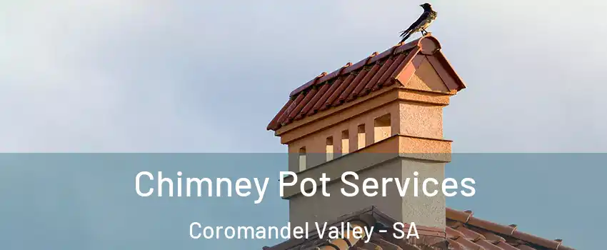 Chimney Pot Services Coromandel Valley - SA