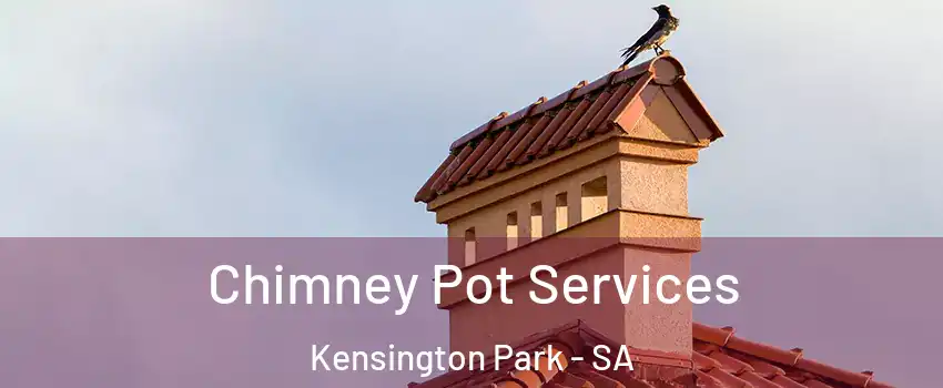  Chimney Pot Services Kensington Park - SA