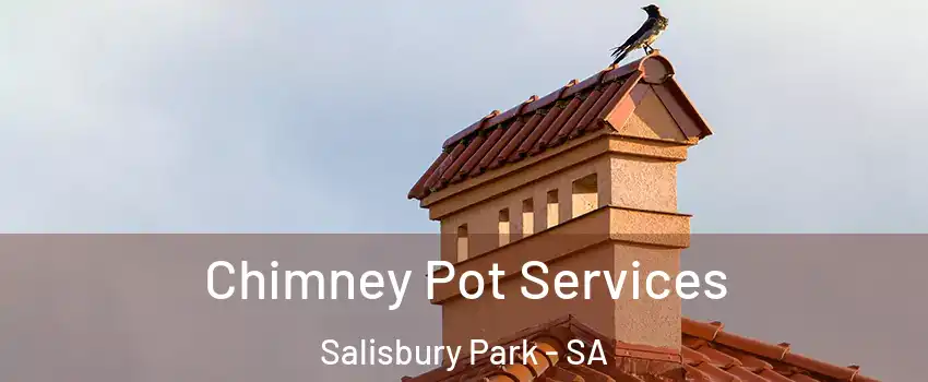  Chimney Pot Services Salisbury Park - SA