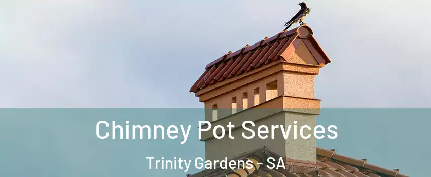 Chimney Pot Services Trinity Gardens - SA
