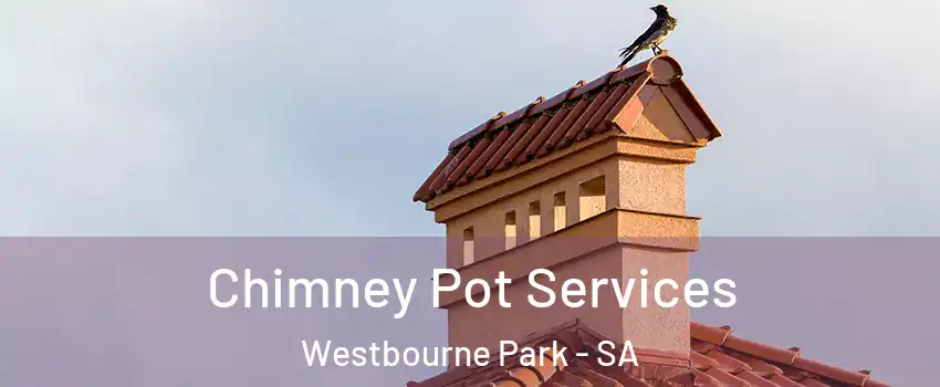  Chimney Pot Services Westbourne Park - SA
