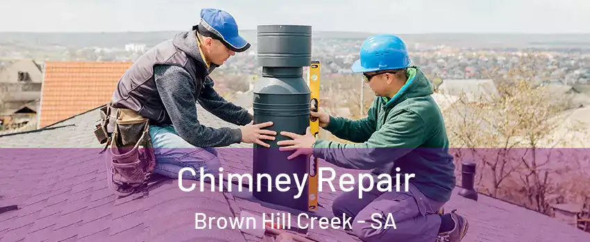 Chimney Repair Brown Hill Creek - SA