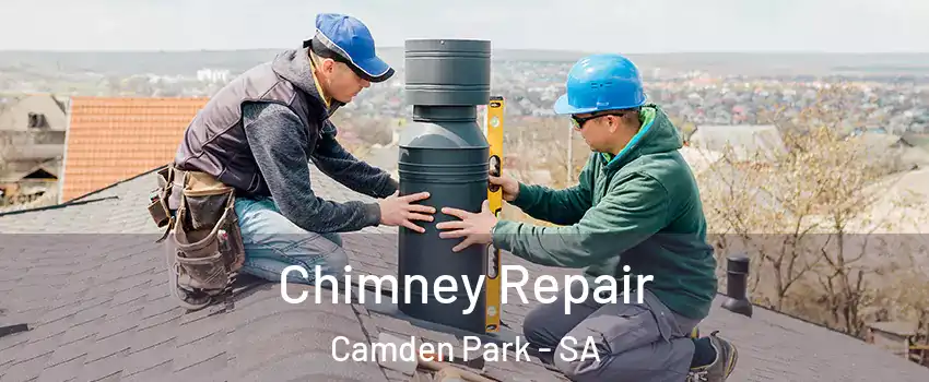 Chimney Repair Camden Park - SA