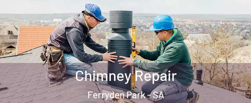 Chimney Repair Ferryden Park - SA
