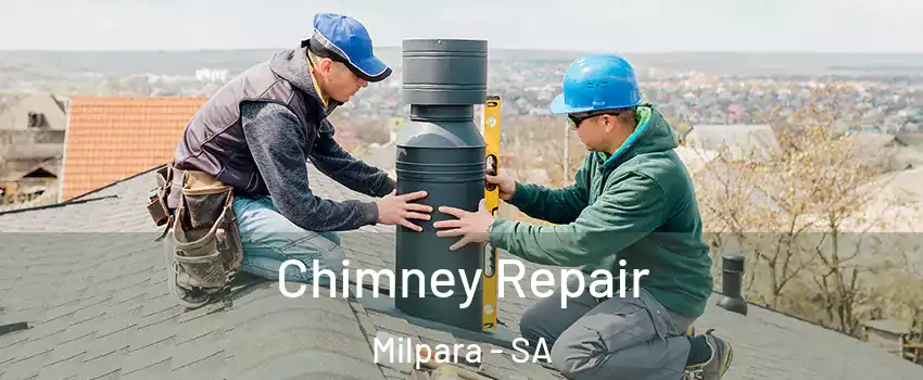 Chimney Repair Milpara - SA
