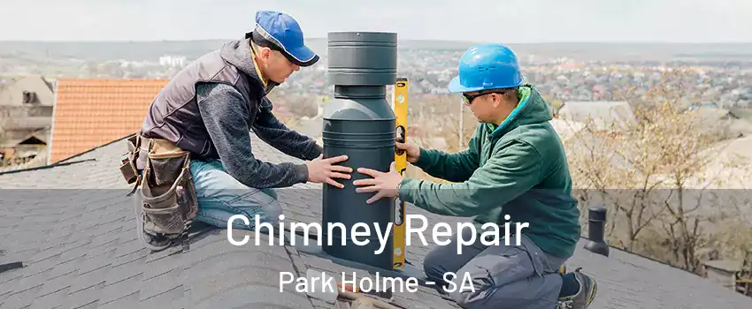  Chimney Repair Park Holme - SA