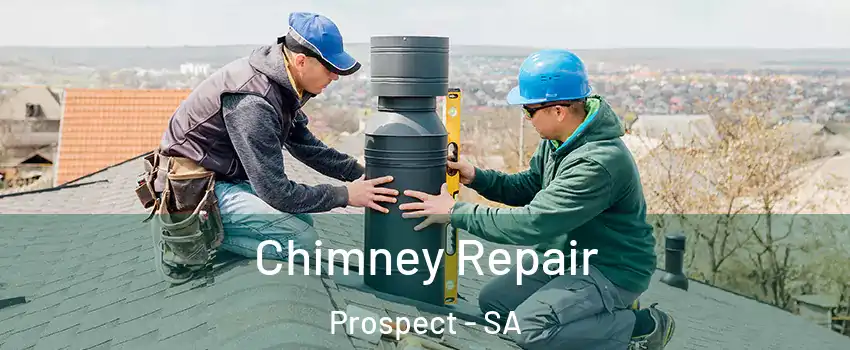  Chimney Repair Prospect - SA