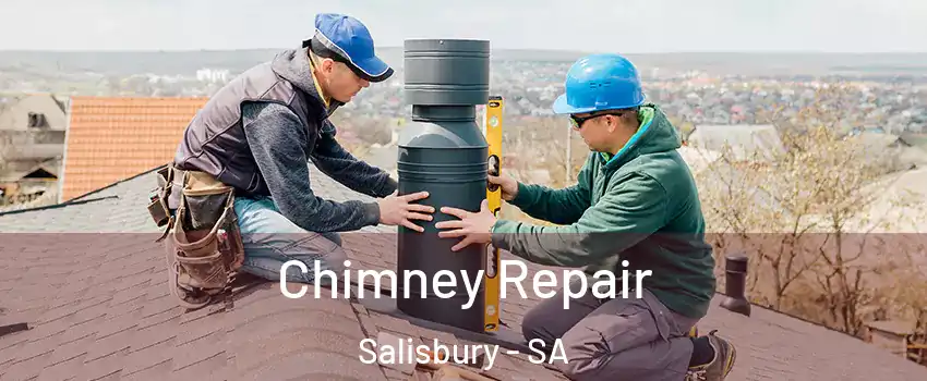  Chimney Repair Salisbury - SA