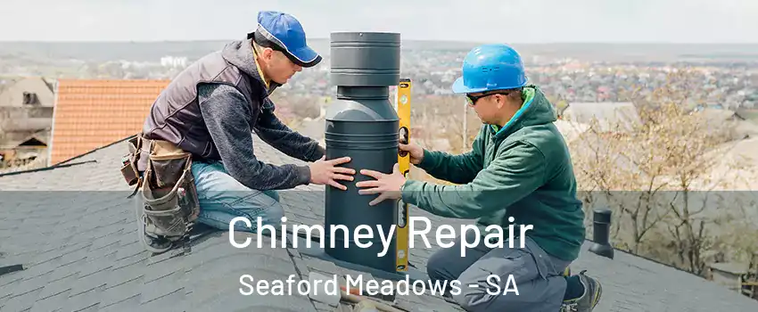  Chimney Repair Seaford Meadows - SA