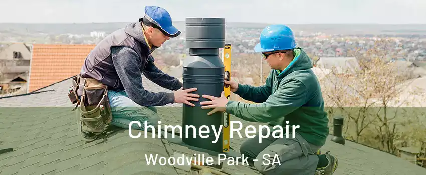  Chimney Repair Woodville Park - SA