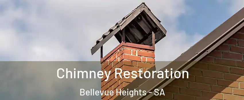 Chimney Restoration Bellevue Heights - SA