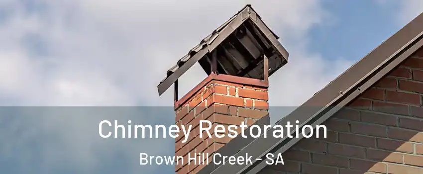 Chimney Restoration Brown Hill Creek - SA