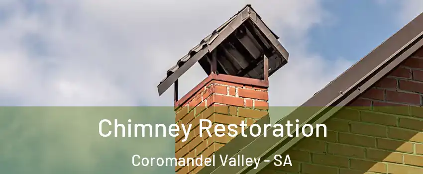 Chimney Restoration Coromandel Valley - SA