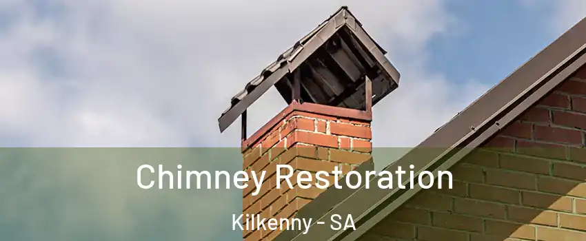  Chimney Restoration Kilkenny - SA