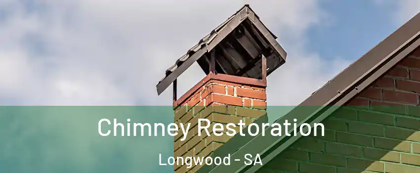  Chimney Restoration Longwood - SA