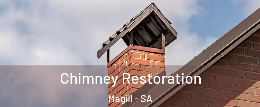 Chimney Restoration Magill - SA