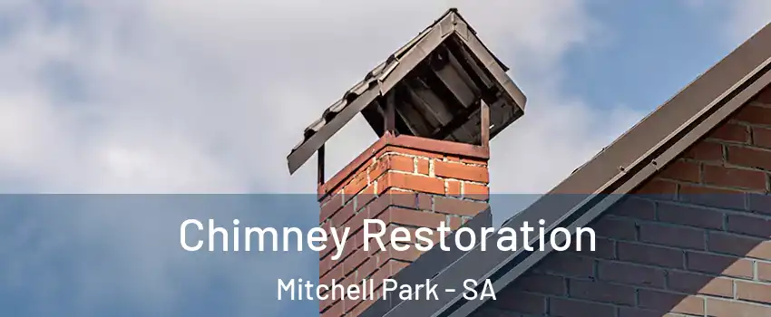  Chimney Restoration Mitchell Park - SA
