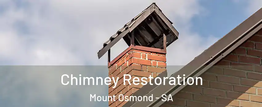  Chimney Restoration Mount Osmond - SA