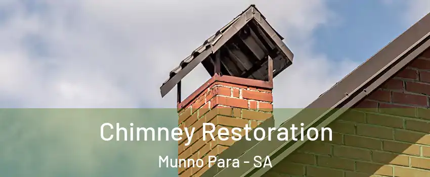  Chimney Restoration Munno Para - SA