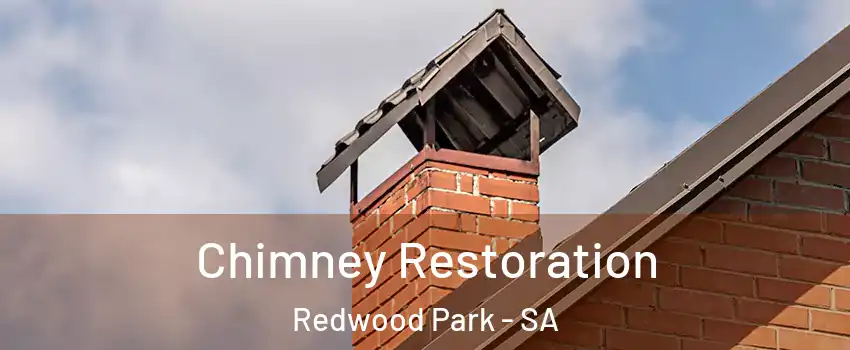  Chimney Restoration Redwood Park - SA
