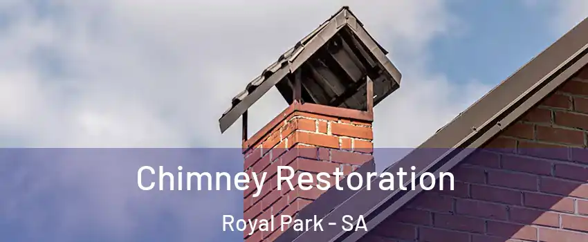  Chimney Restoration Royal Park - SA
