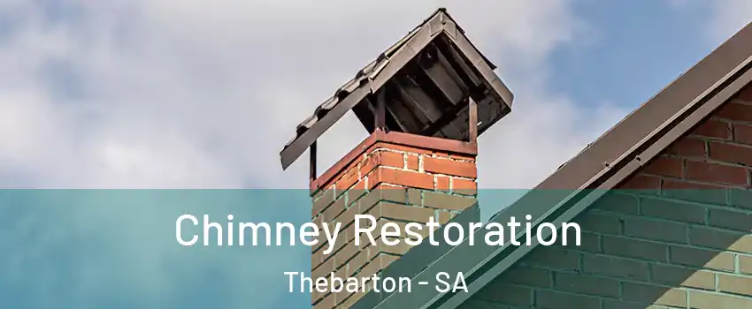  Chimney Restoration Thebarton - SA