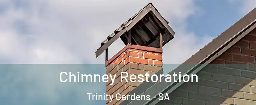  Chimney Restoration Trinity Gardens - SA