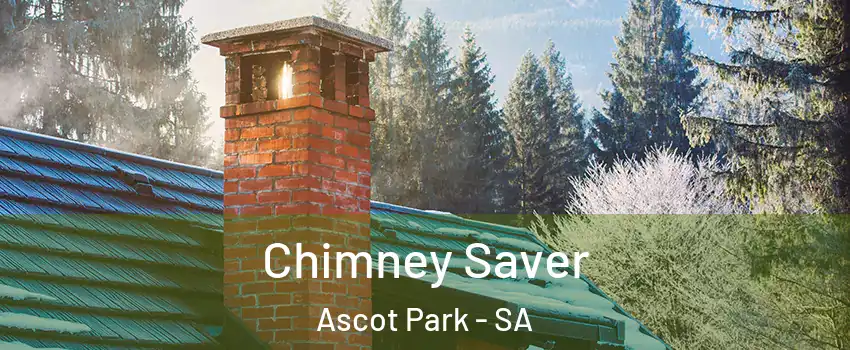  Chimney Saver Ascot Park - SA