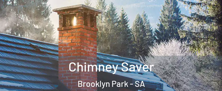 Chimney Saver Brooklyn Park - SA