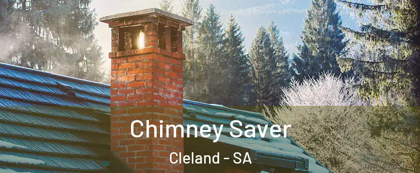 Chimney Saver Cleland - SA