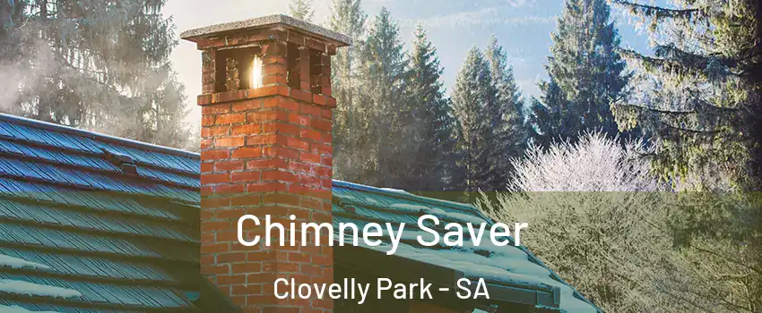Chimney Saver Clovelly Park - SA