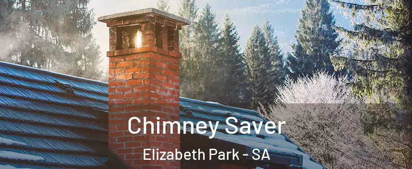 Chimney Saver Elizabeth Park - SA