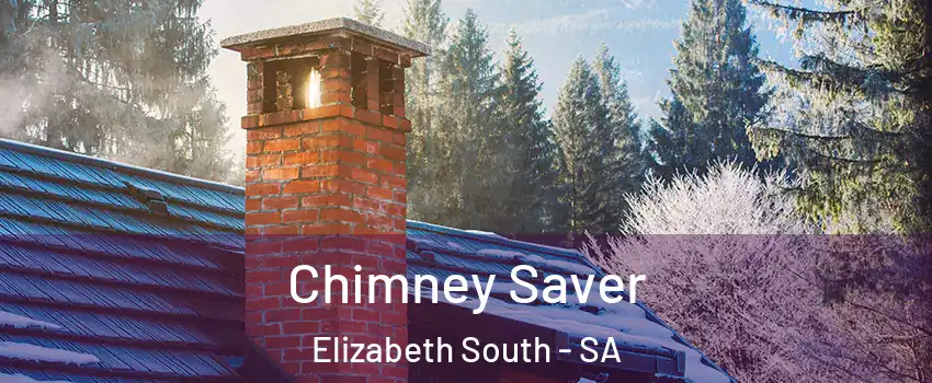 Chimney Saver Elizabeth South - SA