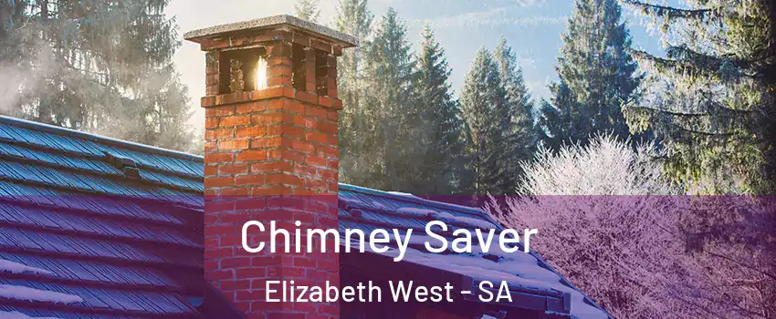 Chimney Saver Elizabeth West - SA