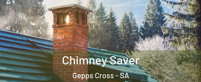 Chimney Saver Gepps Cross - SA
