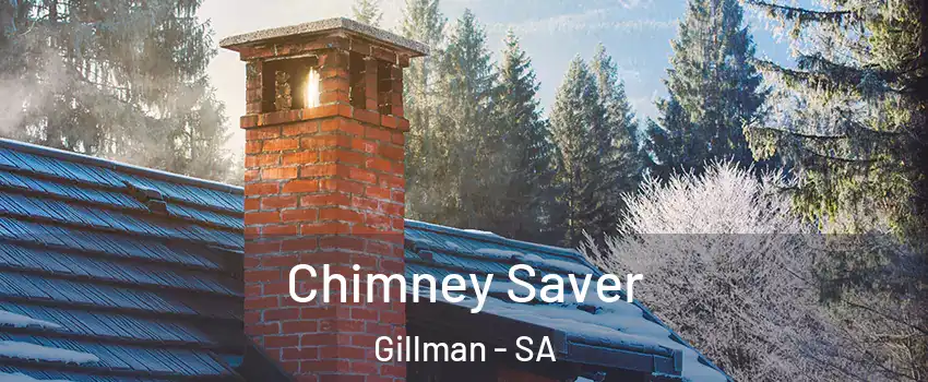 Chimney Saver Gillman - SA