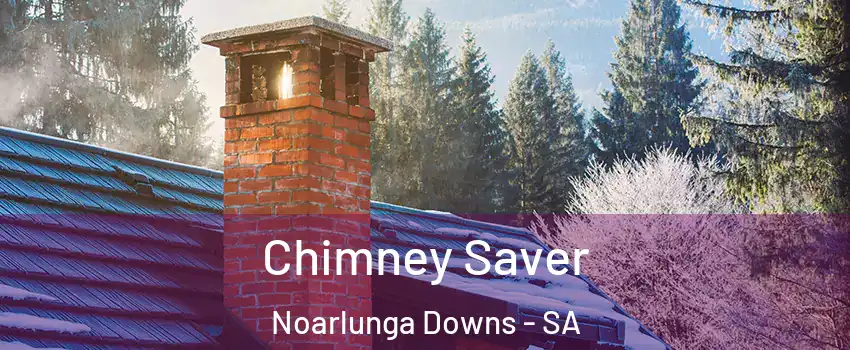  Chimney Saver Noarlunga Downs - SA