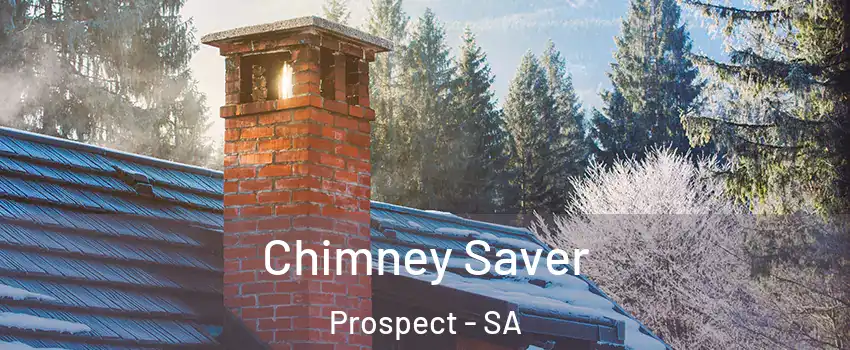  Chimney Saver Prospect - SA