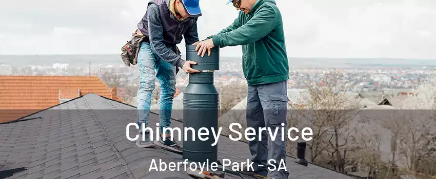 Chimney Service Aberfoyle Park - SA