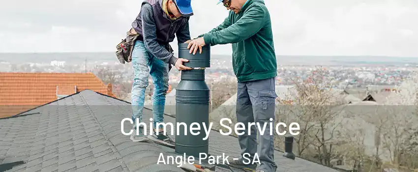 Chimney Service Angle Park - SA