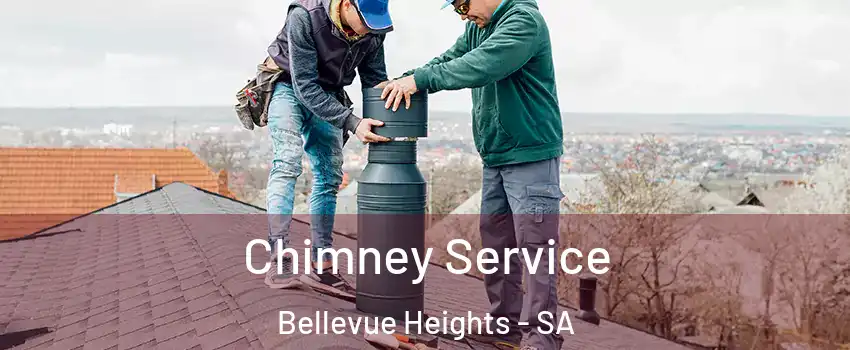 Chimney Service Bellevue Heights - SA