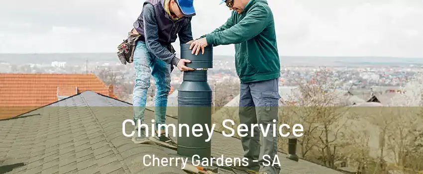Chimney Service Cherry Gardens - SA