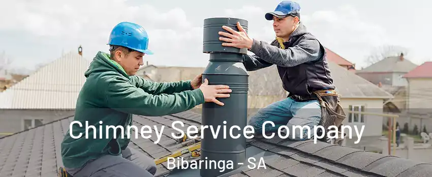 Chimney Service Company Bibaringa - SA