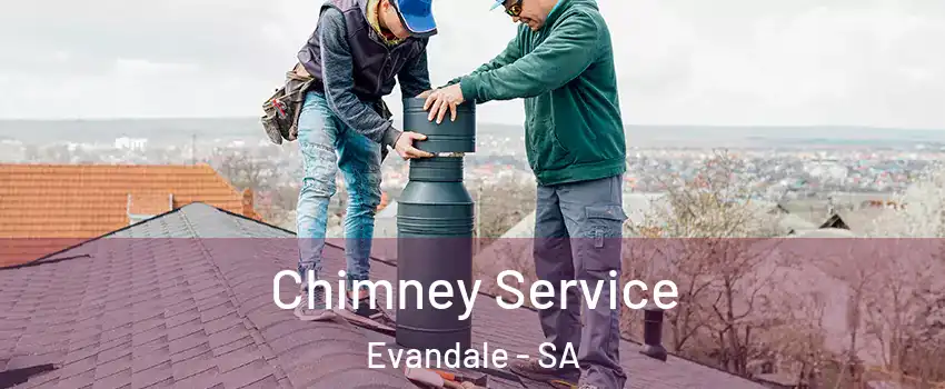 Chimney Service Evandale - SA