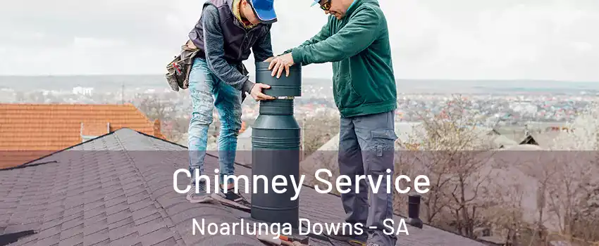  Chimney Service Noarlunga Downs - SA