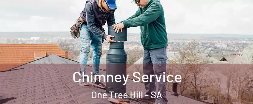  Chimney Service One Tree Hill - SA