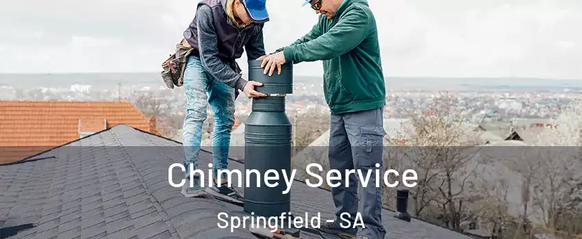  Chimney Service Springfield - SA